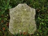image number Button Bertie F 037